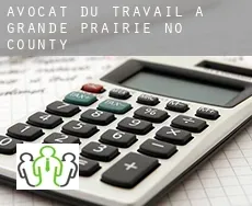 Avocat du travail à  Grande Prairie County