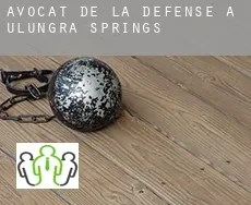 Avocat de la défense à Ulungra Springs