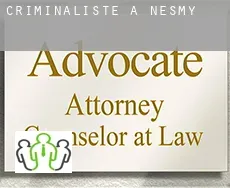 Criminaliste à Nesmy