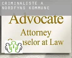 Criminaliste à Nordfyns Kommune
