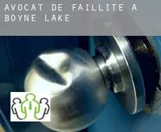 Avocat de faillite à  Boyne Lake