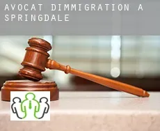 Avocat d'immigration à Springdale