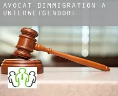 Avocat d'immigration à Unterweigendorf