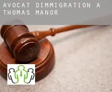 Avocat d'immigration à Thomas Manor