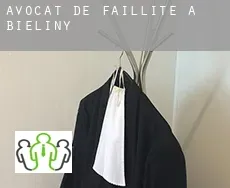 Avocat de faillite à Bieliny