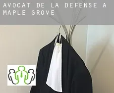 Avocat de la défense à Maple Grove