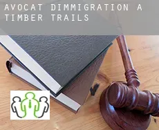 Avocat d'immigration à Timber Trails