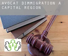 Avocat d'immigration à Hovedstaden