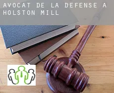Avocat de la défense à Holston Mill