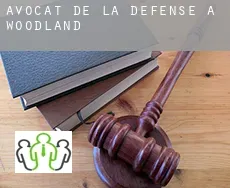 Avocat de la défense à Woodland