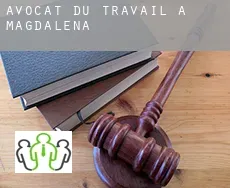 Avocat du travail à  Magdalena