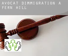 Avocat d'immigration à Fern Hill