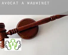 Avocat à Wauwinet