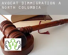 Avocat d'immigration à North Columbia