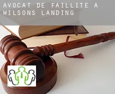 Avocat de faillite à Wilsons Landing