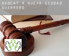 Avocat à Nueva Ciudad Guerrero