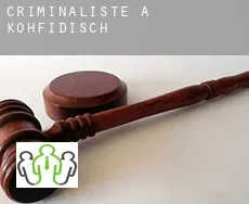 Criminaliste à Kohfidisch
