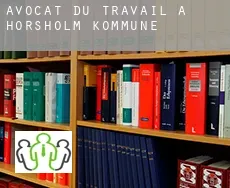 Avocat du travail à Hørsholm Kommune