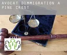 Avocat d'immigration à Pine Crest