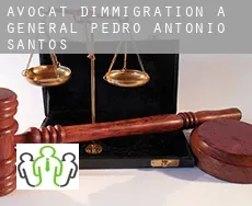 Avocat d'immigration à General Pedro Antonio Santos
