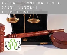 Avocat d'immigration à Saint-Vincent-Lespinasse