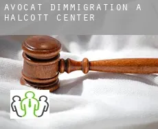 Avocat d'immigration à Halcott Center