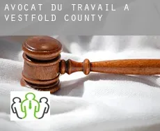 Avocat du travail à  Vestfold county