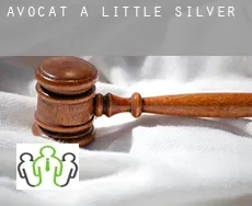 Avocat à Little Silver
