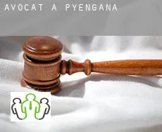 Avocat à  Pyengana