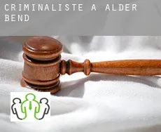 Criminaliste à  Alder Bend