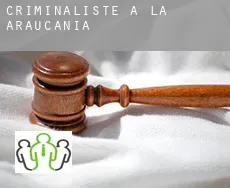 Criminaliste à  Araucanía