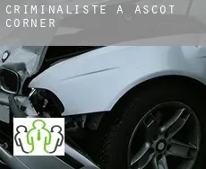 Criminaliste à  Ascot Corner