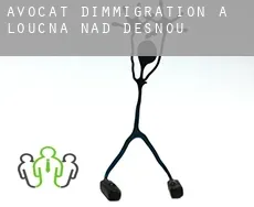 Avocat d'immigration à Loučná nad Desnou