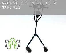 Avocat de faillite à Marines el Viejo