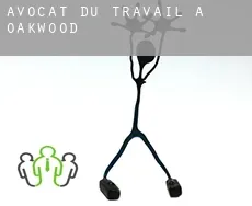 Avocat du travail à Oakwood
