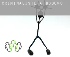 Criminaliste à Bobowo