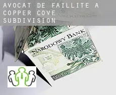 Avocat de faillite à Copper Cove Subdivision