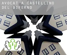 Avocat à Castellino del Biferno