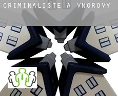 Criminaliste à  Vnorovy
