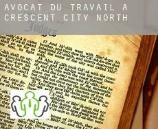 Avocat du travail à Crescent City North