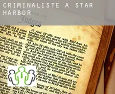 Criminaliste à Star Harbor