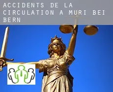 Accidents de la circulation à Muri bei Bern