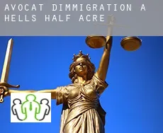 Avocat d'immigration à Hells Half Acre