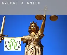 Avocat à  Amisk