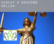 Avocat à  Newcomb Hollow