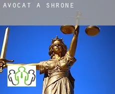 Avocat à  Shrone