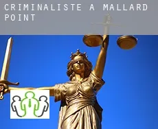 Criminaliste à Mallard Point