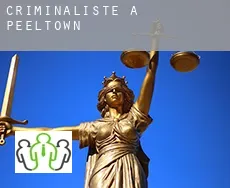 Criminaliste à  Peeltown