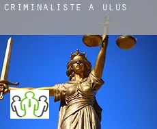 Criminaliste à  Ulus