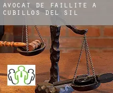 Avocat de faillite à Cubillos del Sil